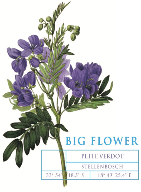 Big Flower - Petit Verdot label